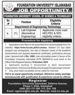 Foundation University Islamabad jobs 2025