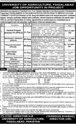 University of Agriculture Faislabad Jobs 2025