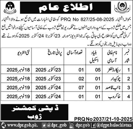 Department revenue district zhob Jobs 2025