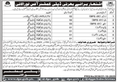 Deputy commissioner office Jobs 2025