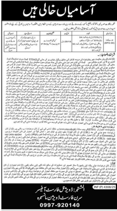 Department of Forest Jobs 2025