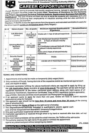 Punjab TEVTA  Jobs 2025