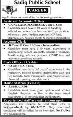 Sadiq public school  Jobs 2025