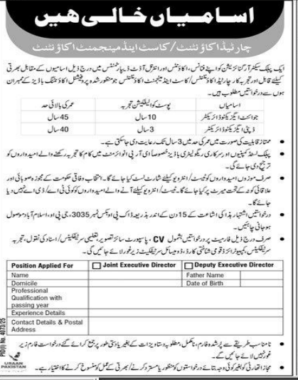 Cast and management accountant Jobs 2025