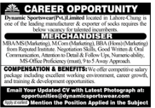 Dynamic sportswear  jobs 2025
