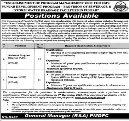Establishment of program management Jobs 2025