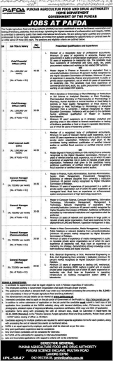PAFDA jobs 2025