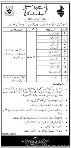 Pakistan steel cadet college Jobs 2025