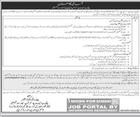 Pubic private partnership Jobs 2025