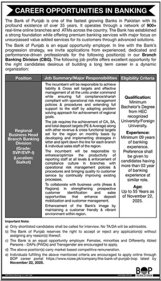 The bank of Punjab Jobs 2025