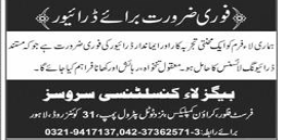 Begzla consulting service Jobs 2025