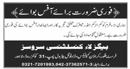 Begzla consulting service Jobs 2025