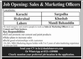Cement and paint business industry Jobs 2025