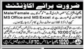 Chippa welfare  department public strength  Jobs 2025