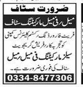 Freight forwarding company Jobs 2025