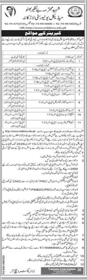 Medical university ladkana  Jobs 2025