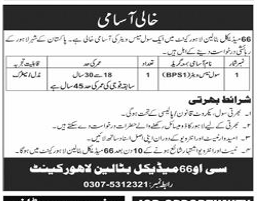 Medical bataligh Jobs 2025