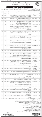 SMBBIT  Jobs 2025