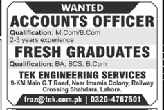 Tek engineering service Jobs 2025