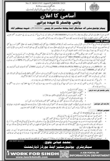 Universities and board department Jobs 2025