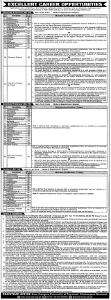 Universityof narowal  Jobs 2025