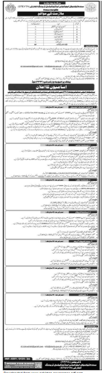 STEVTA company  jobs 2026