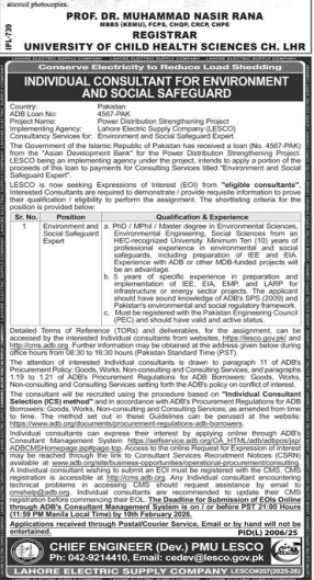 Individual consultant for environment and social safeguard export jobs 2026
