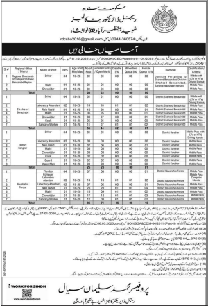 Government of Sindh regional directorate colleges  jobs 2026