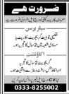 A famous carpet company jobs 2026