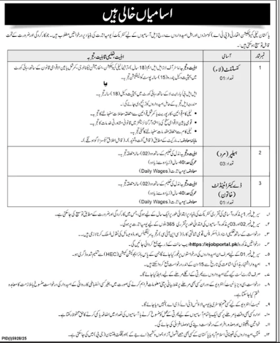Pakistan neely commutation taxation authority job 2026