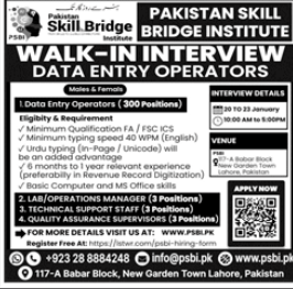 Pakistan skill bridge institute jobs 2026