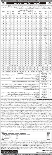 Department of school education Balochistan   jobs 2026