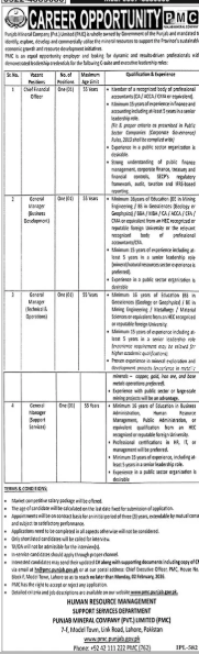 Punjab mineral company jobs 2026