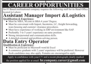IT multinational company Jobs 2026