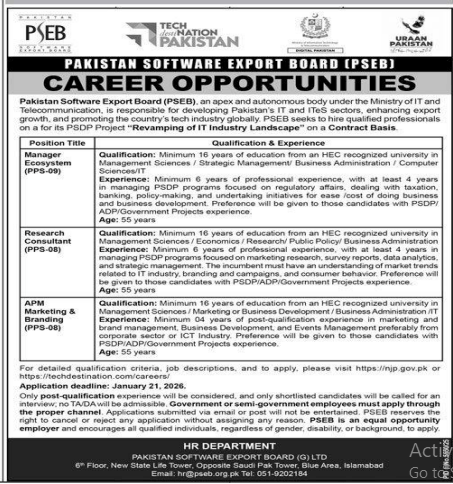 Pakistan software export board  jobs 2026