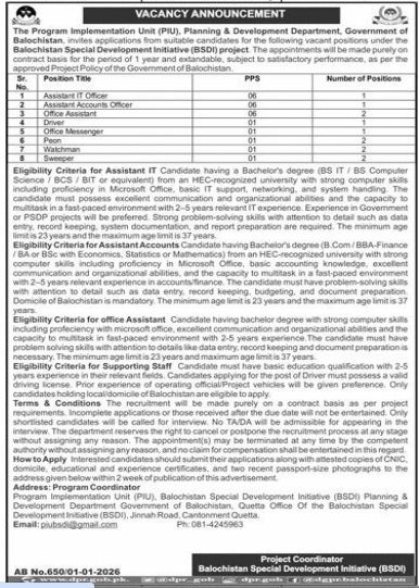 The program implementation ,planning and development department Jobs 2026