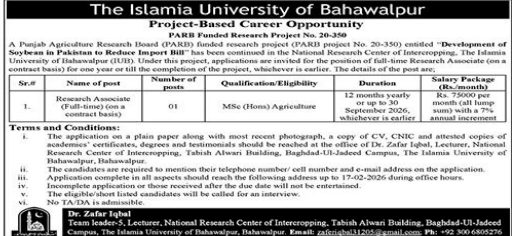 The islamia university of Bahawalpur jobs 2026