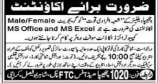 Chipa welfare company   jobs 2026