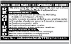 Saleem sehrish company   jobs 2026