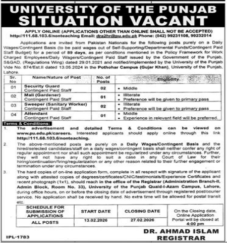 University of Punjab jobs 2026