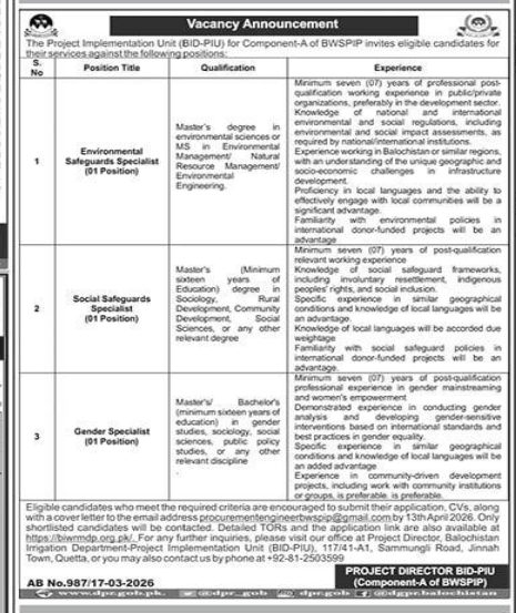 The project implementation unit jobs 2026