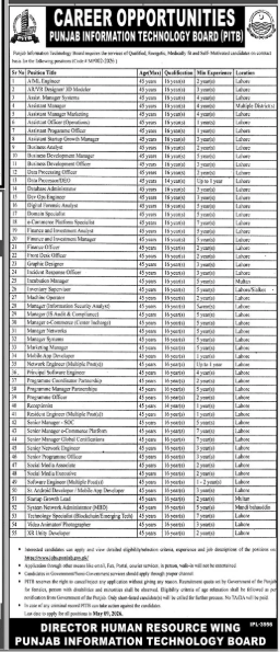 Punjab information technology board Jobs 2026