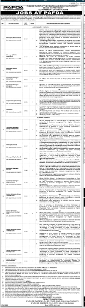 Punjab agriculture food and drug authority Jobs 2026