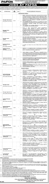 Punjab agriculture food and drug authority home department Jobs 2026