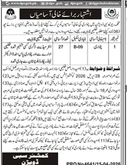 Department of university Jobs 2026