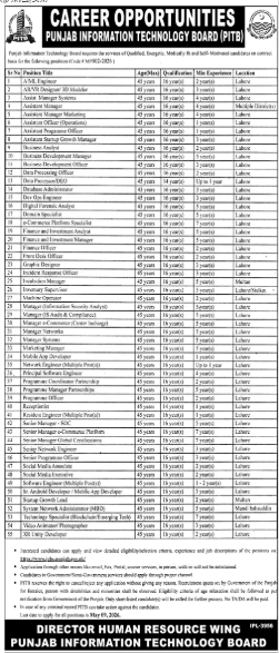Punjab information technology board Jobs 2026