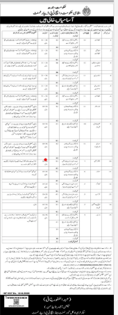 Section officer , secretary local Government and HTP department Jobs 2026