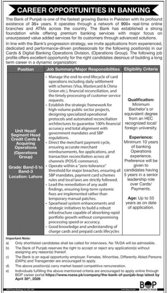 The bank of Punjab Jobs 2026