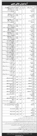 Commanding officer , 499 army aviation E m F  battalion , army aviation base , Multan Cantt   Jobs 2026