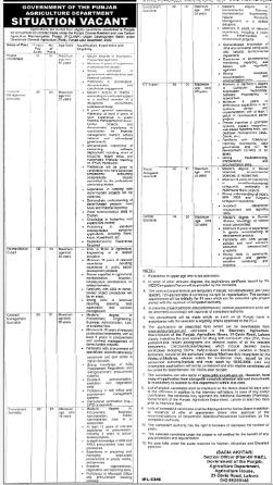 Government of the Punjab Agricultural Department Jobs 2026